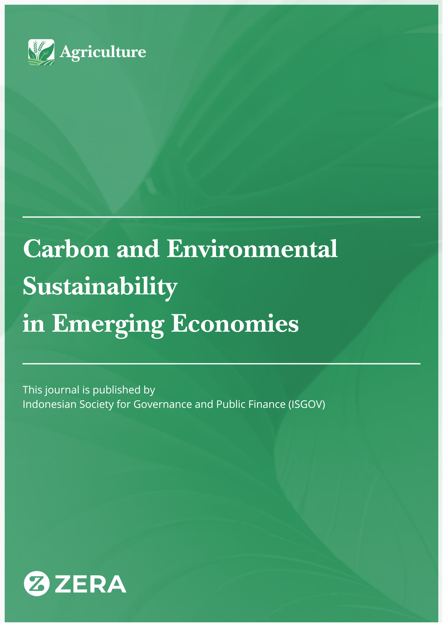Carbon and Environmental Sustainability in Emerging Economies